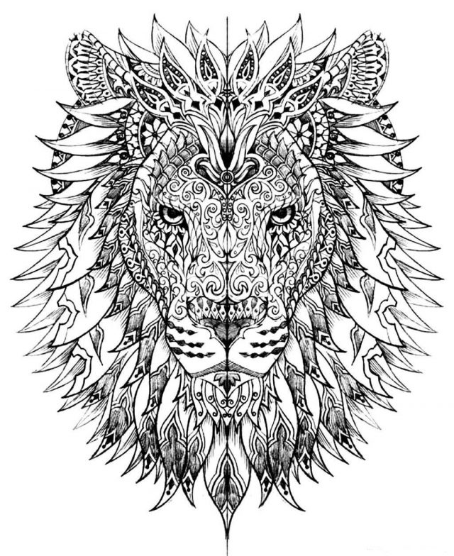 1451454242adult-difficult-lion-head