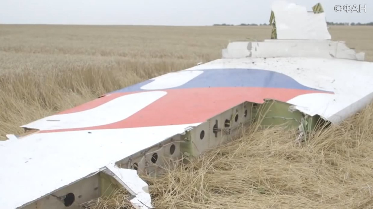 Политолог объяснил «удивительное прозрение» Нидерландов по делу MH17 Политолог объяснил «удивительное прозрение» Нидерландов по делу MH17