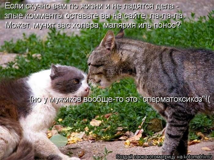 Самые смешные котоматрицы за прошедшую неделю Самые смешные котоматрицы за прошедшую неделю