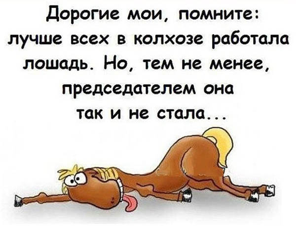 Убойные шутки для настроения. Чистый позитив! Убойные шутки для настроения. Чистый позитив!