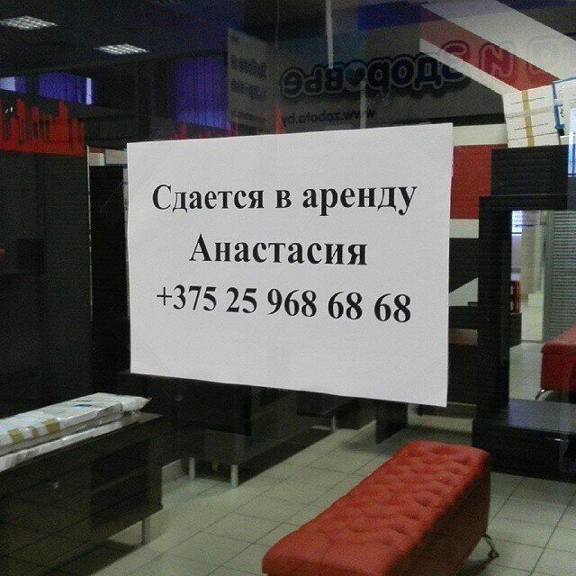 Бедная Анастасия Оригинальные объявления пропитанные местным колоритом
(15 фото)