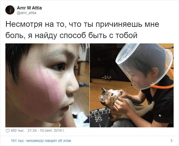 забавные фото царапина от кота