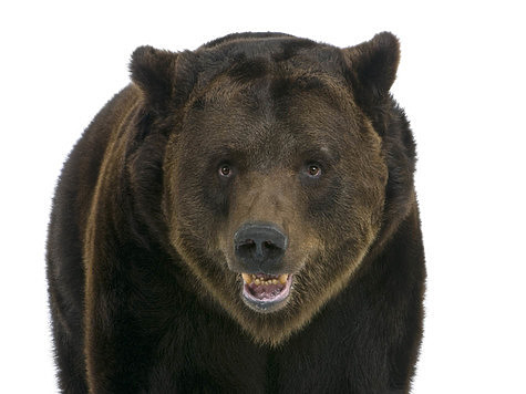 фото: Fotolia.com
фото: Fotolia.com