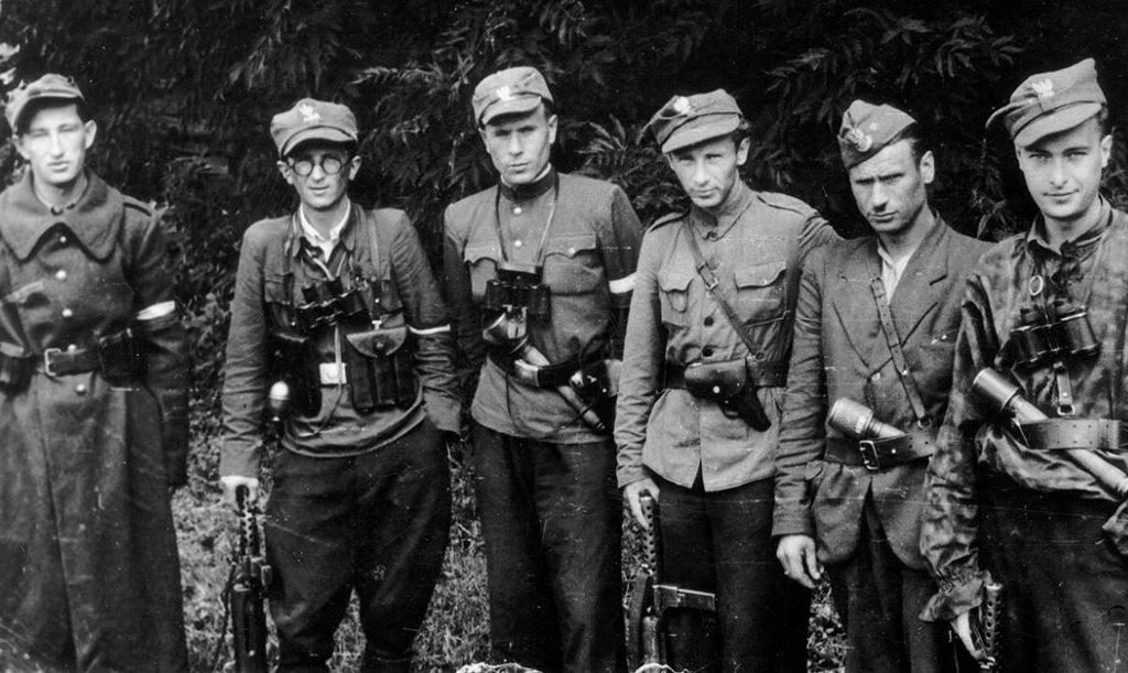 Польская армия и нацисты против СССР!