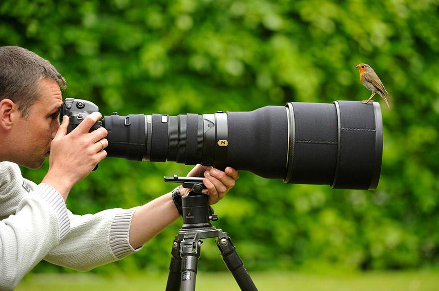 Самые робкие животные позируют перед камерой: как фотографу это удалось?