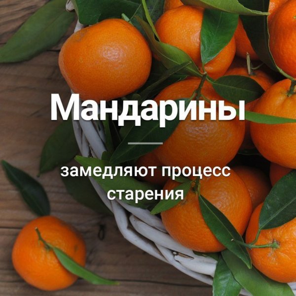 Краткие факты Краткие факты