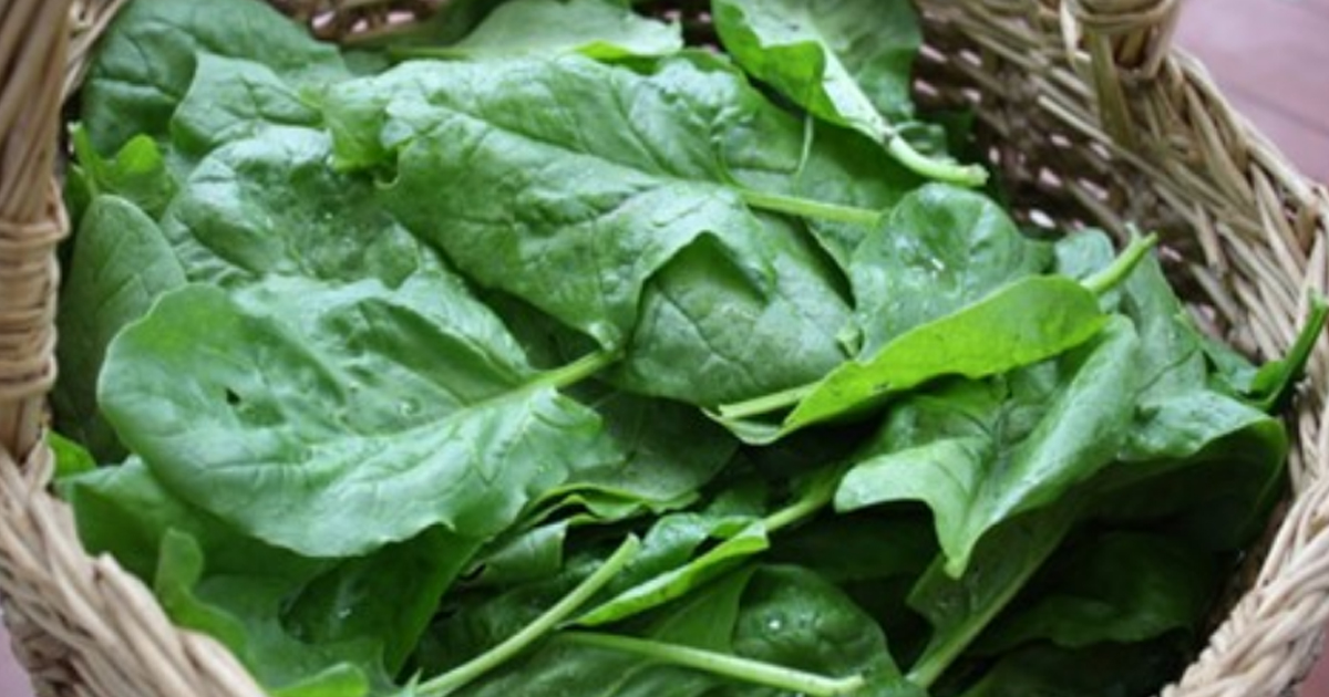 5 продуктов, в которых белка больше, чем в мясе 5 продуктов, в которых белка больше, чем в мясе
