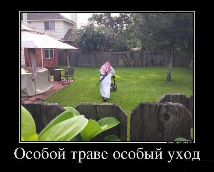 Демотиваторы отличной подборочкой для зарядки позитивом на весь день! Демотиваторы отличной подборочкой для зарядки позитивом на весь день!