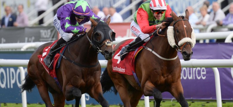 Ladbrokes стала спонсором Welsh Champion