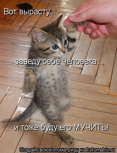 Неужели колобок под газонокосилку попал??