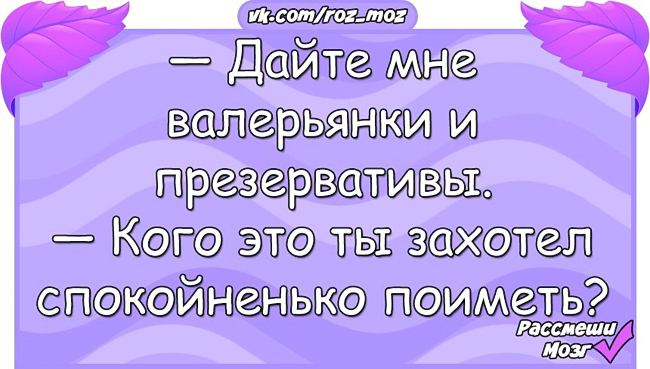 Анекдоты от «Рассмеши мозг» читай тихо — пусть все думают, что ты работаешь