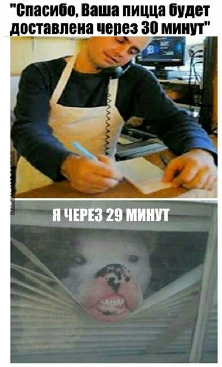 Картинки с надписями и без Картинки с надписями и без мем, прикол, юмор