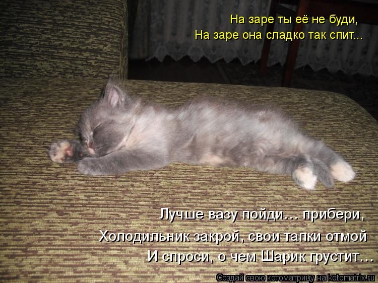 Самые смешные котоматрицы за прошедшую неделю Самые смешные котоматрицы за прошедшую неделю