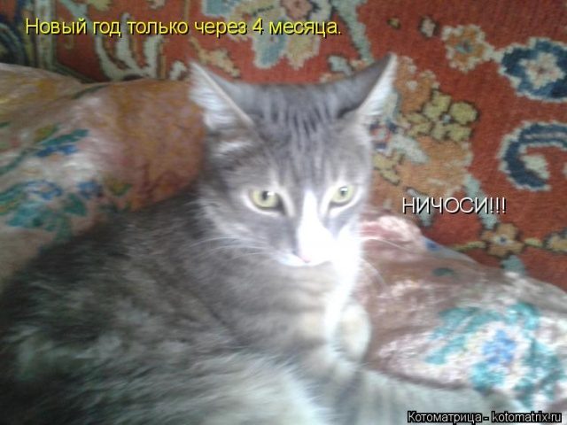 Самые смешные котоматрицы для хорошего настроения) Самые смешные котоматрицы для хорошего настроения)