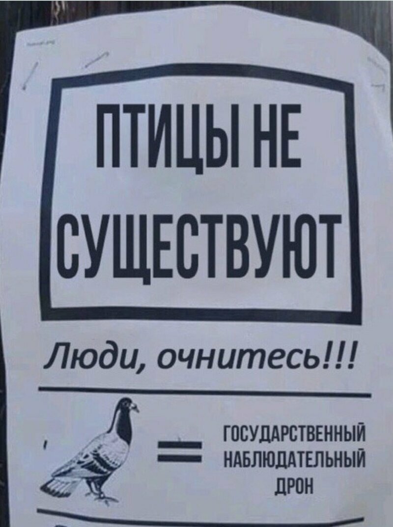 Параноикам посвящается Оригинальные объявления пропитанные местным колоритом
(15 фото)