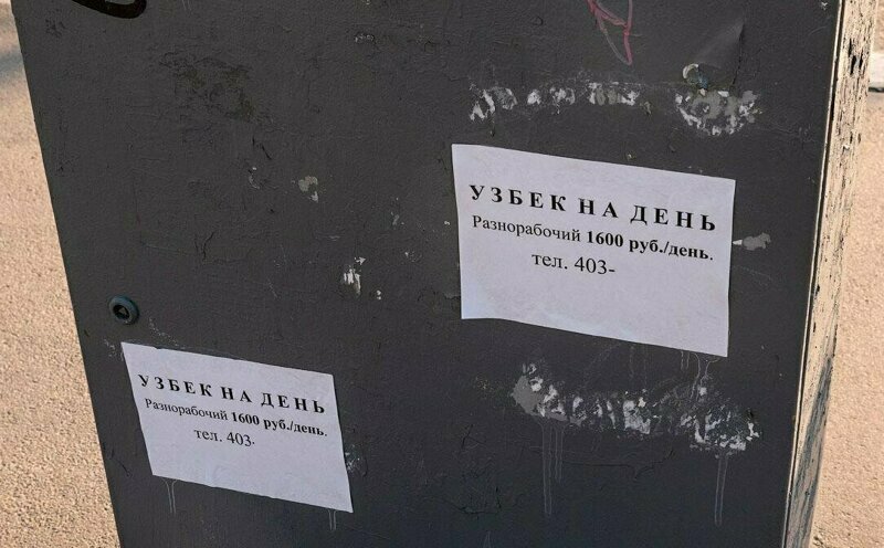 В поисках работы Оригинальные объявления пропитанные местным колоритом
(15 фото)