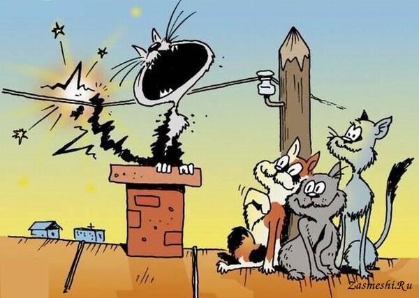 «Настоящие коты» Т.Пратчетта «Настоящие коты» Т.Пратчетта