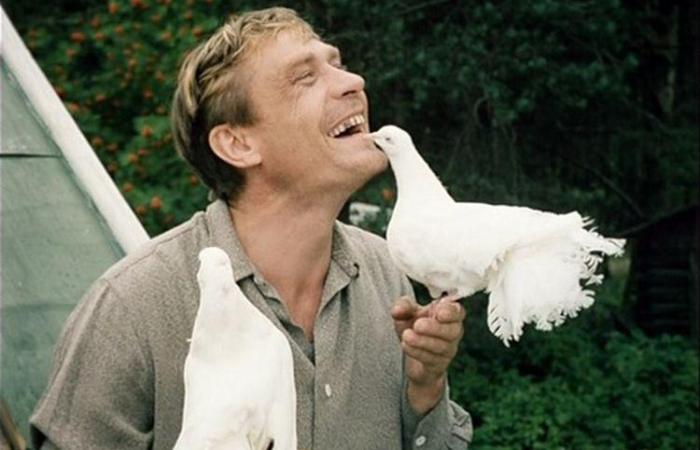 Александр Михайлов в фильме *Любовь и голуби*, 1984 | Фото: bigpicture.ru Александр Михайлов в фильме *Любовь и голуби*, 1984 | Фото: bigpicture.ru