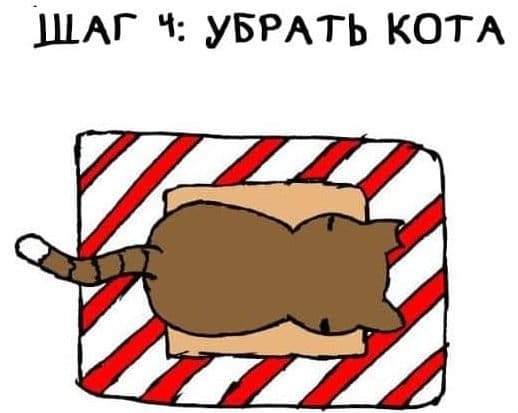 вредные коты лайфхак