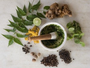 Народные рецепты при катаракте Лекарственные растения и народное лечение катаракты