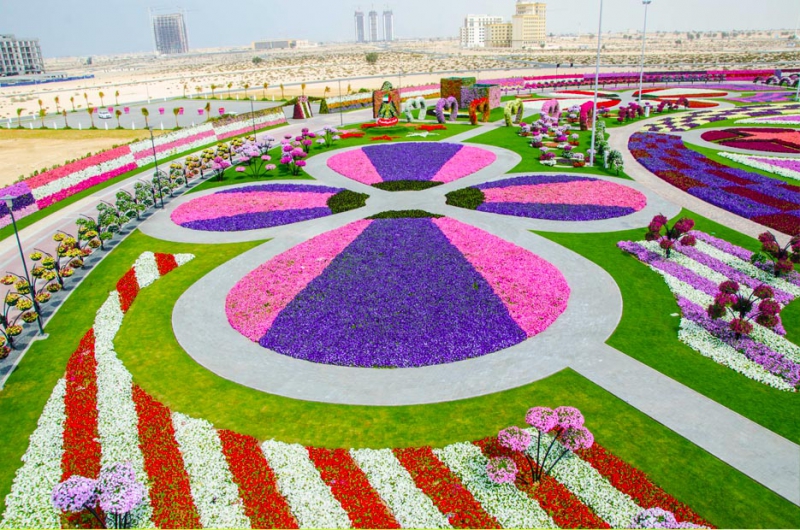 Чудо - сад в Дубаи путешествия, сад, фото, цветы