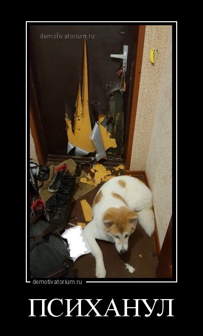 Демотиваторы для всех (16 шт) Демотиваторы для всех (16 шт)