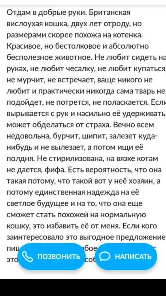 17 объявлений с Авито, которые точно рассмешат вас до слез 17 объявлений с Авито, которые точно рассмешат вас до слез