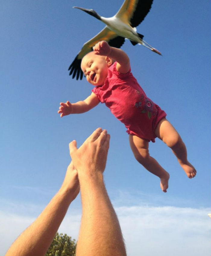 30+ фотографий, на которые Вам придется посмотреть как минимум дважды 30+ фотографий, на которые Вам придется посмотреть как минимум дважды