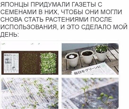 Газеты с семенами