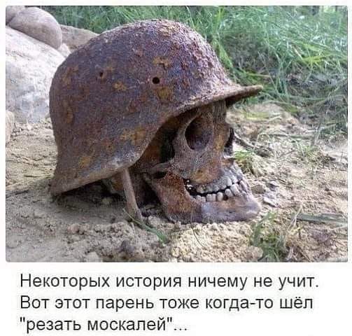 Берлин нападает на Москву, тупо угождая Вашингтону