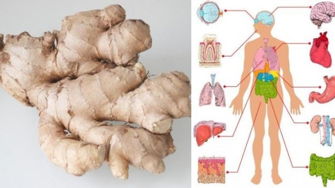 eat-ginger-every-day-for-1-month-and-this-will-happen-to-your-body-696x385