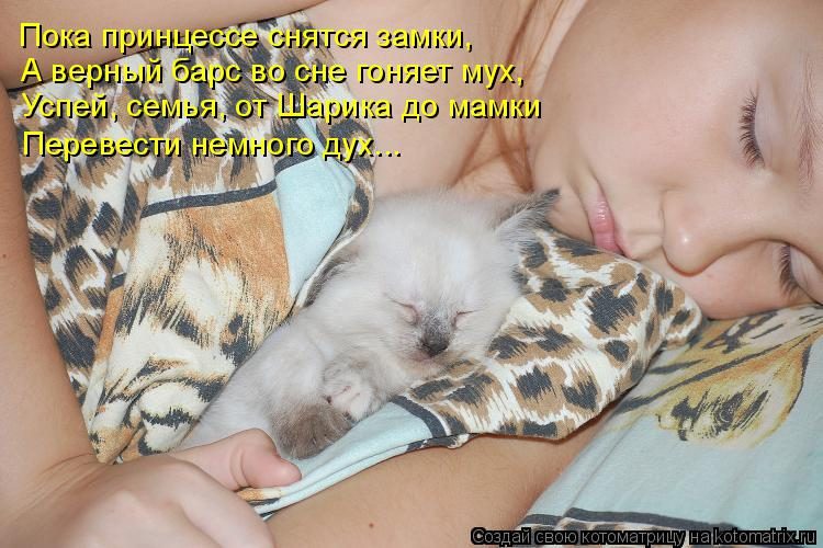 Самые смешные котоматрицы за прошедшую неделю Самые смешные котоматрицы за прошедшую неделю