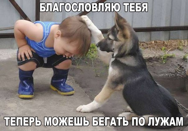 Картинки по запросу ржачные фото с надписью