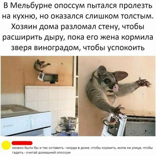 Гарантия 100%, что вы сейчас лопнете от смеха. Спорить будем? Гарантия 100%, что вы сейчас лопнете от смеха. Спорить будем?