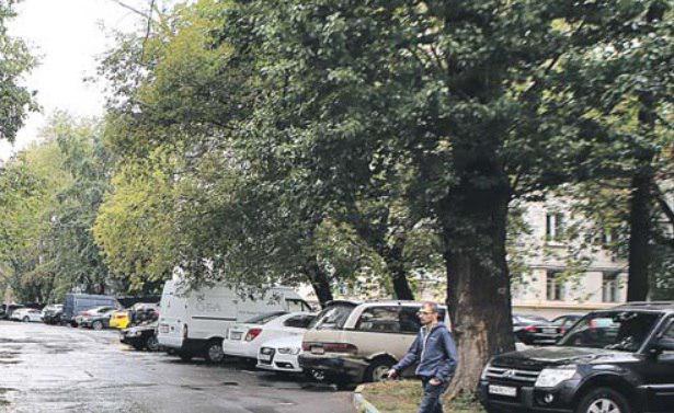 В одном из дворов на 1-й улице Машиностроения восстановили 400 «квадратов» газонов