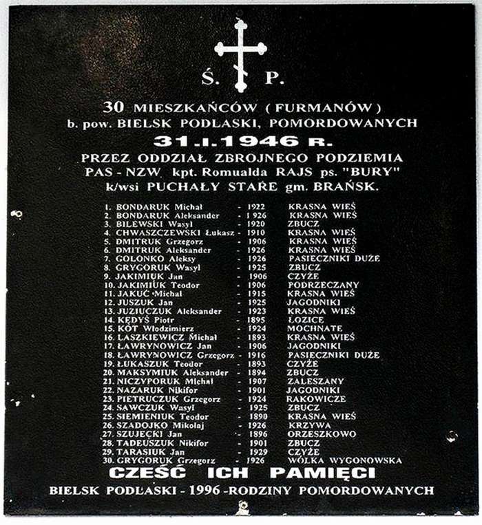 Польская армия и нацисты против СССР!