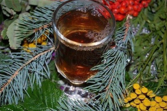 Рецепт хвойного кваса