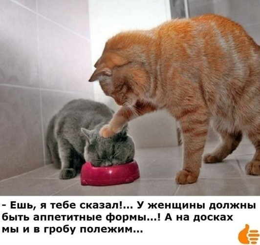 image (532x502, 162Kb)