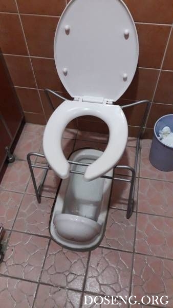 Прикольные картинки Прикольные картинки