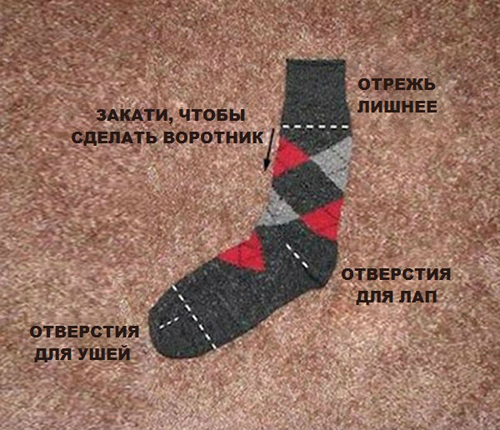 Это выглядит стильно, но почти ничего не стоит! Вот как сделать модный наряд для твоей собаки. Это выглядит стильно, но почти ничего не стоит! Вот как сделать модный наряд для твоей собаки.