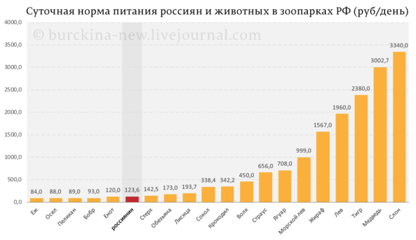 Россияне питаются хуже журавлей-стерхов Путина