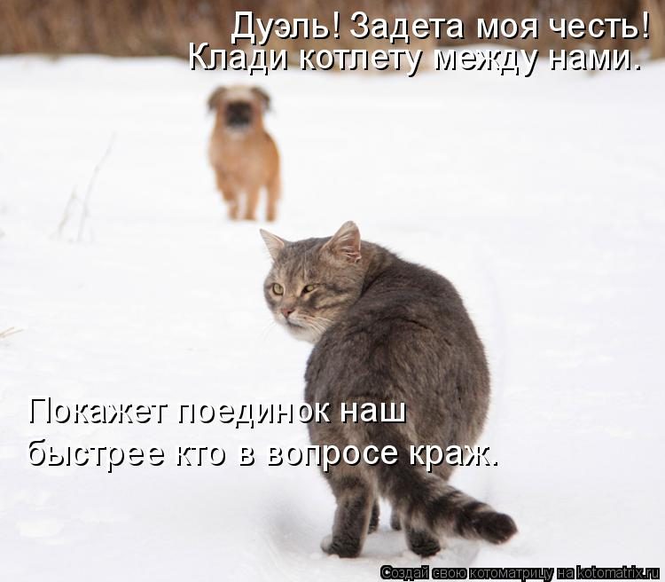 Самые смешные котоматрицы за прошедшую неделю Самые смешные котоматрицы за прошедшую неделю