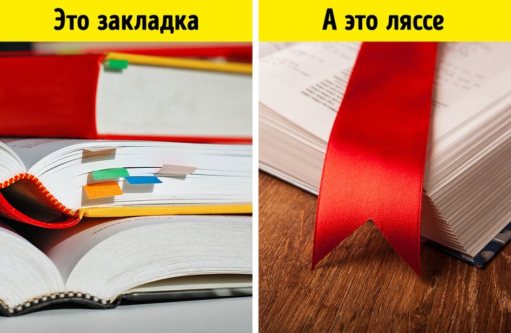 Предметы, которые называются совсем не так, как мы думали Предметы, которые называются совсем не так, как мы думали