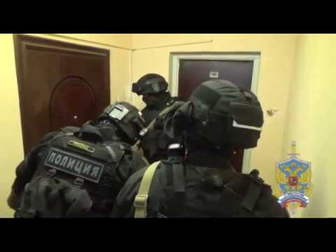 Серийных грабителей поймали в Подмосковье (видео)
