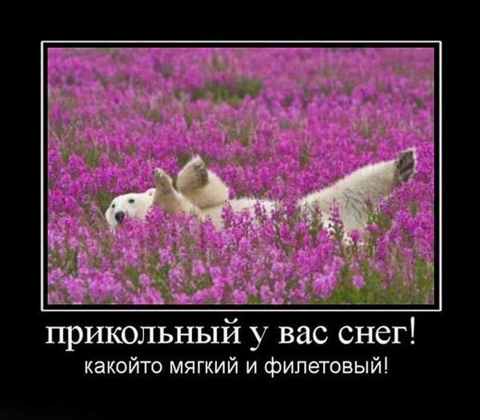 Демотиваторы отличной подборочкой для зарядки позитивом на весь день! Демотиваторы отличной подборочкой для зарядки позитивом на весь день!