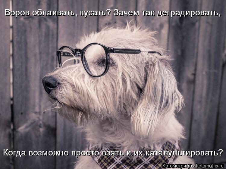 Самые смешные котоматрицы за прошедшую неделю Самые смешные котоматрицы за прошедшую неделю