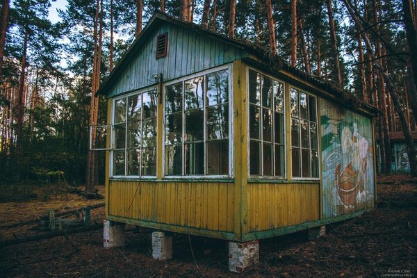 Пионерский лагерь Изумрудное