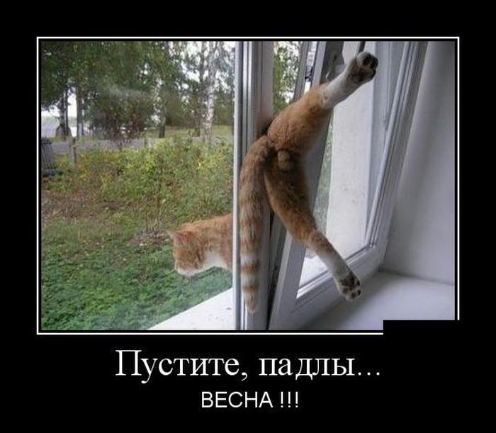 Демотиваторы отличной подборочкой для зарядки позитивом на весь день! Демотиваторы отличной подборочкой для зарядки позитивом на весь день!