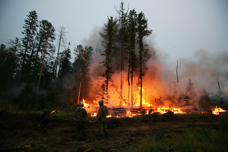 В Росгидромете заявили о высокой пожароопасности в российских лесах