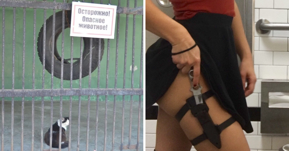 Город — по-настоящему опасное место Город — по-настоящему опасное место WTF?, бетонные джунгли, в городе, город, необычно, опасное место, опасность, прикол